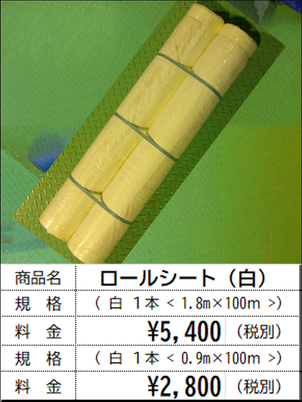 養生10